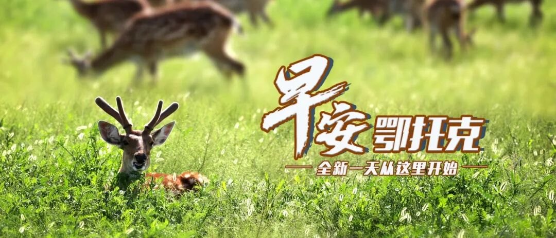 鄂尔多斯18万份抗过敏药免费申领｜第三批“国补”已下达｜65种药品纳入第12批国采来了……